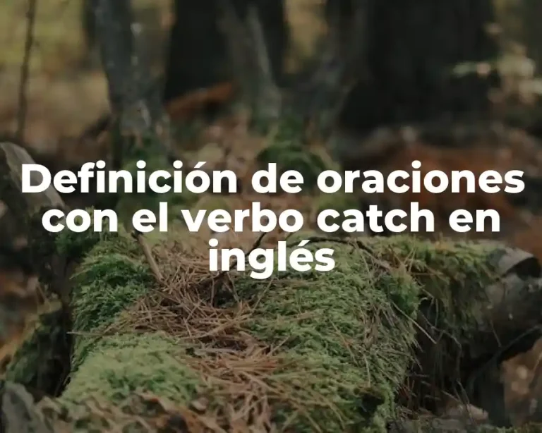 Definición de oraciones con el verbo catch en inglés