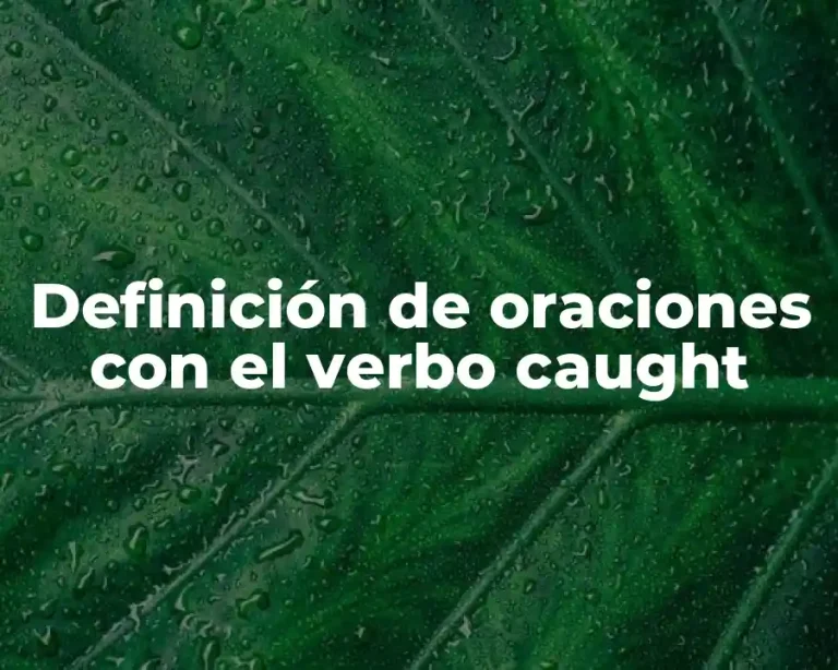Definición de oraciones con el verbo caught