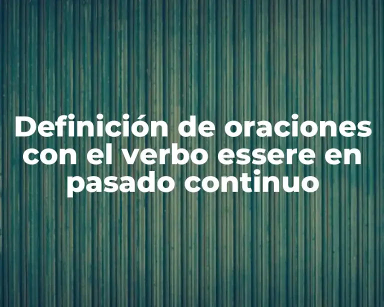 Definición de oraciones con el verbo essere en pasado continuo