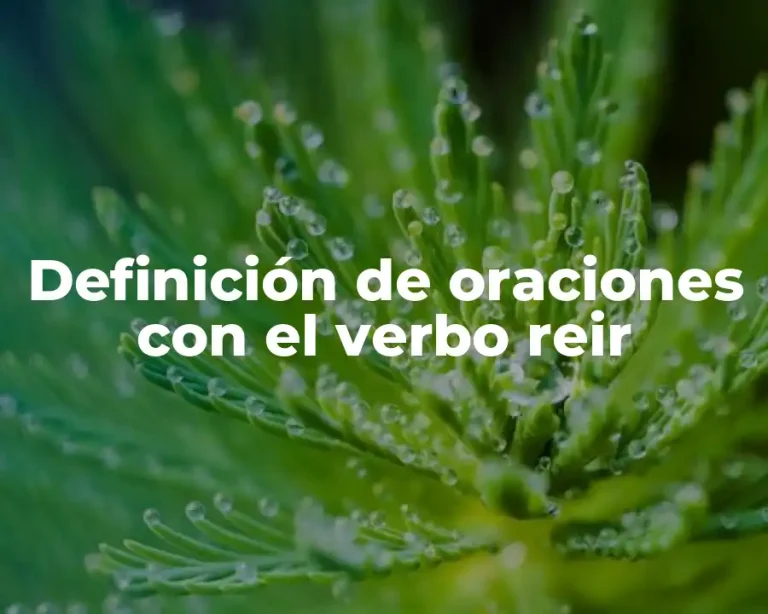 Definición de oraciones con el verbo reir