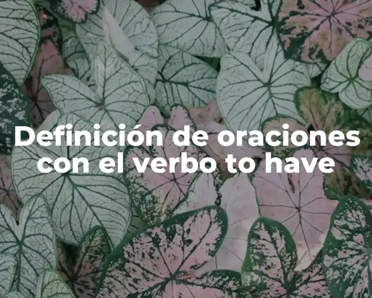 Definición de oraciones con el verbo to have