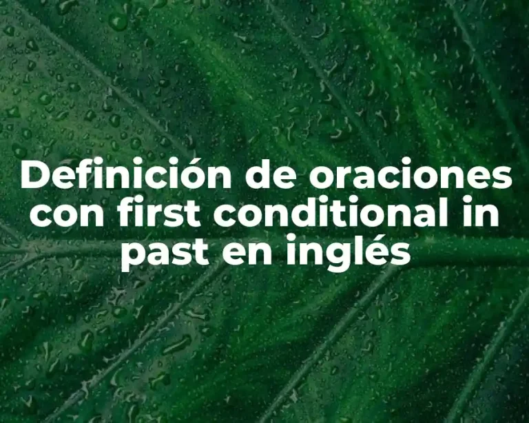 Definición de oraciones con first conditional in past en inglés