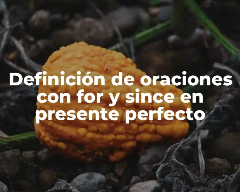Definición de oraciones con for y since en presente perfecto