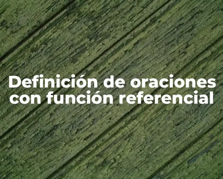 Definición de oraciones con función referencial