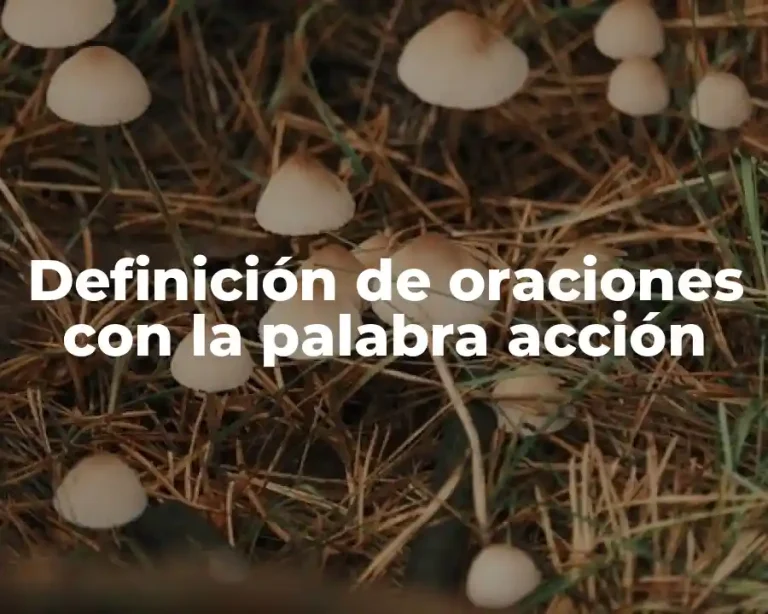Definición de oraciones con la palabra acción