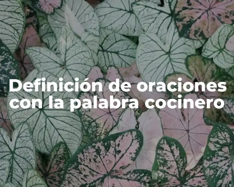 Definición de oraciones con la palabra cocinero