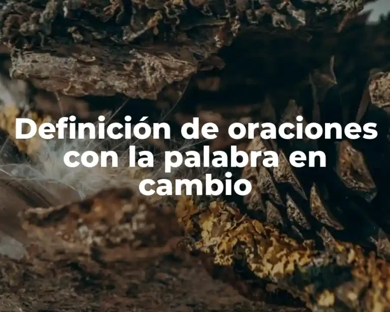 Definición de oraciones con la palabra en cambio