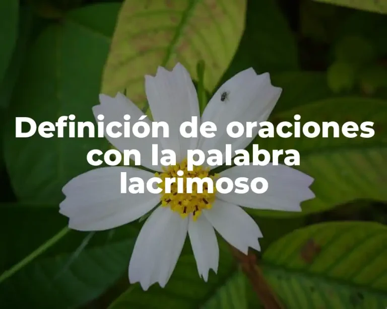 Definición de oraciones con la palabra lacrimoso