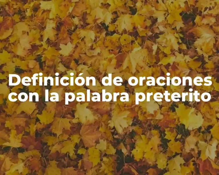 Definición de oraciones con la palabra preterito