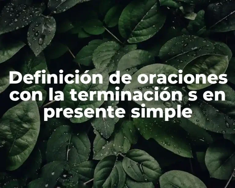 Definición de oraciones con la terminación s en presente simple