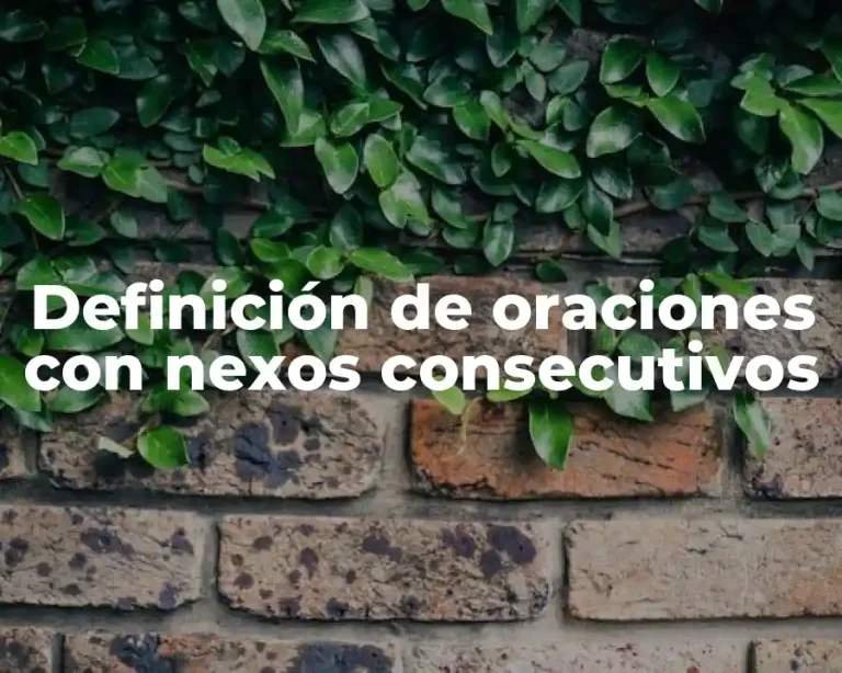 Definición de oraciones con nexos consecutivos
