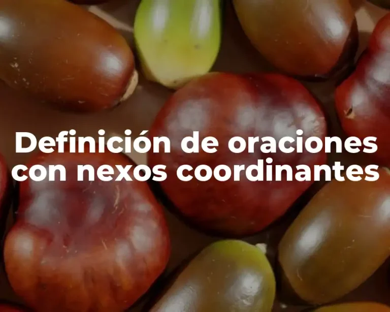 Definición de oraciones con nexos coordinantes