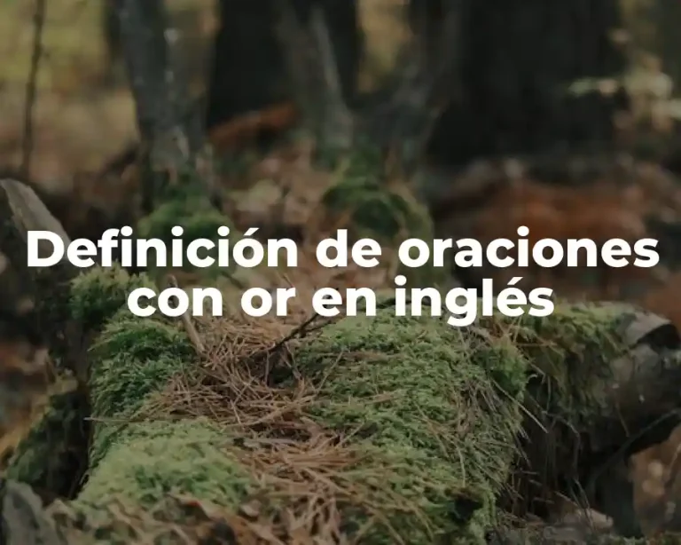 Definición de oraciones con or en inglés