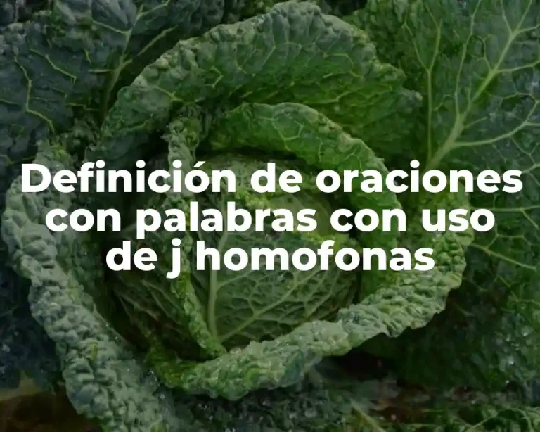 Definición de oraciones con palabras con uso de j homofonas