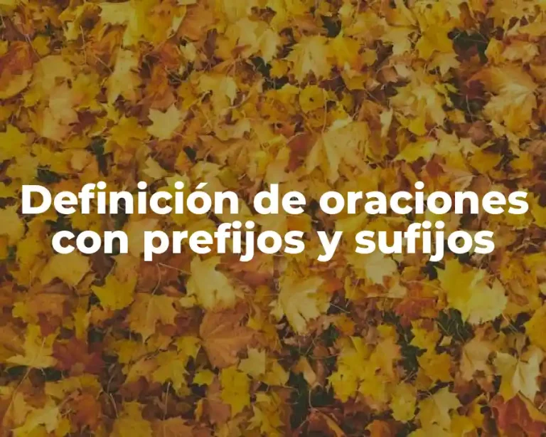 Definición de oraciones con prefijos y sufijos
