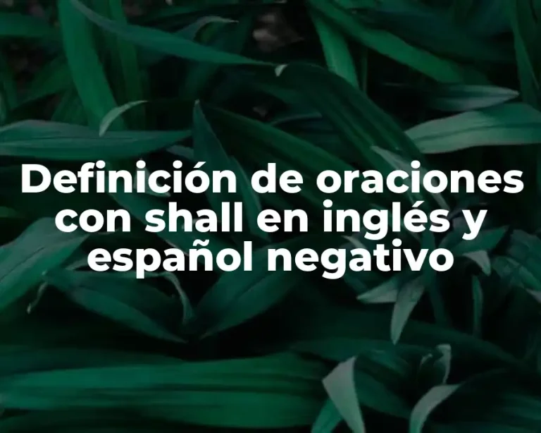 Definición de oraciones con shall en inglés y español negativo