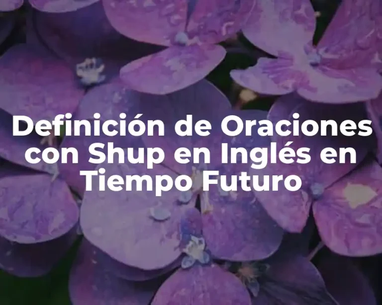 Definición de Oraciones con Shup en Inglés en Tiempo Futuro