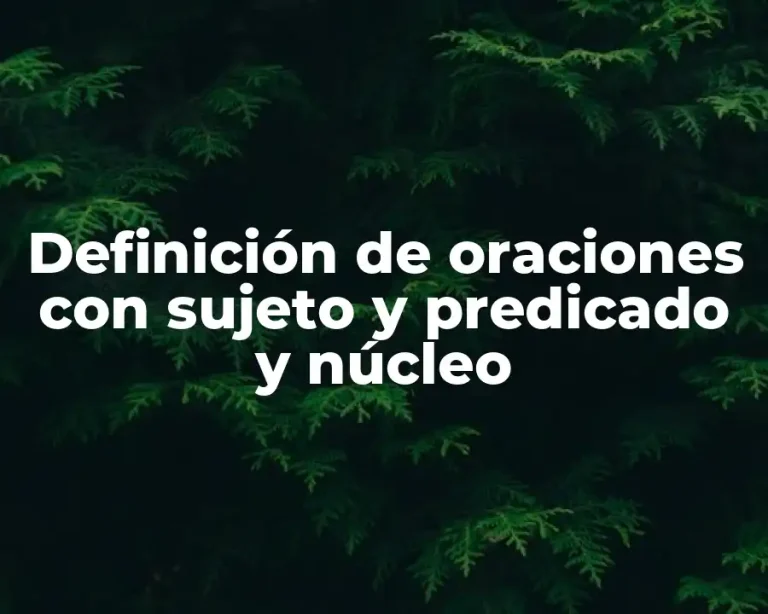 Definición de oraciones con sujeto y predicado y núcleo