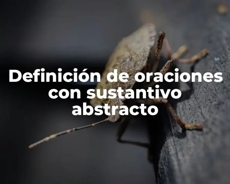 Definición de oraciones con sustantivo abstracto