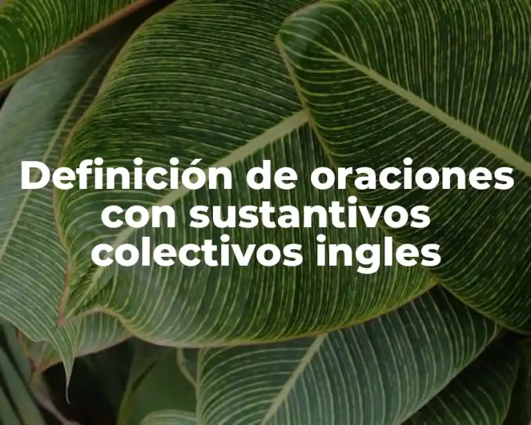 Definición de oraciones con sustantivos colectivos ingles