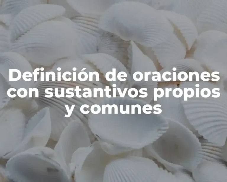 Definición de oraciones con sustantivos propios y comunes