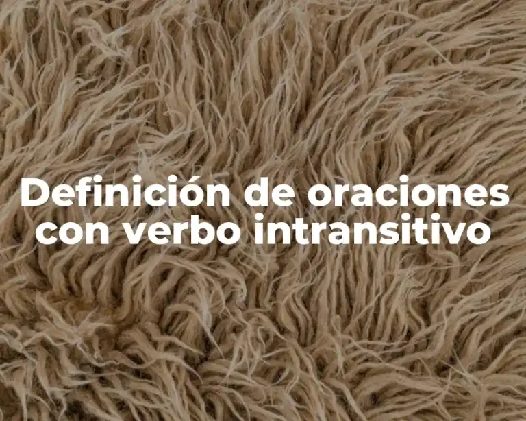 Definición de oraciones con verbo intransitivo