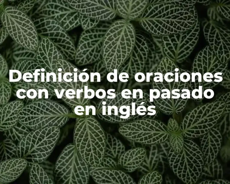Definición de oraciones con verbos en pasado en inglés