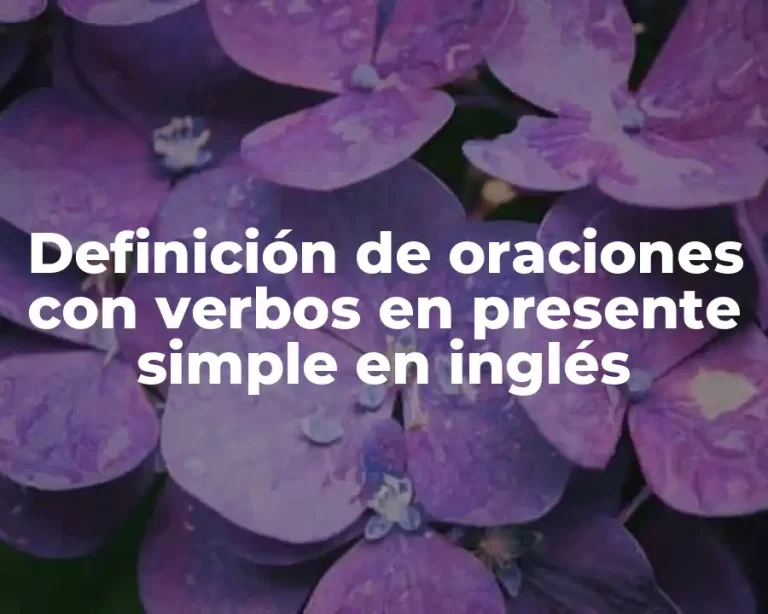 Definición de oraciones con verbos en presente simple en inglés
