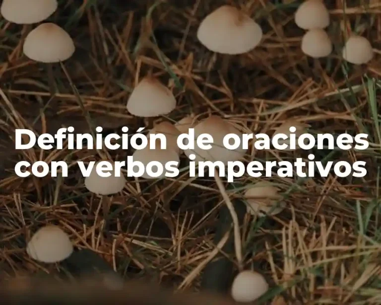 Definición de oraciones con verbos imperativos