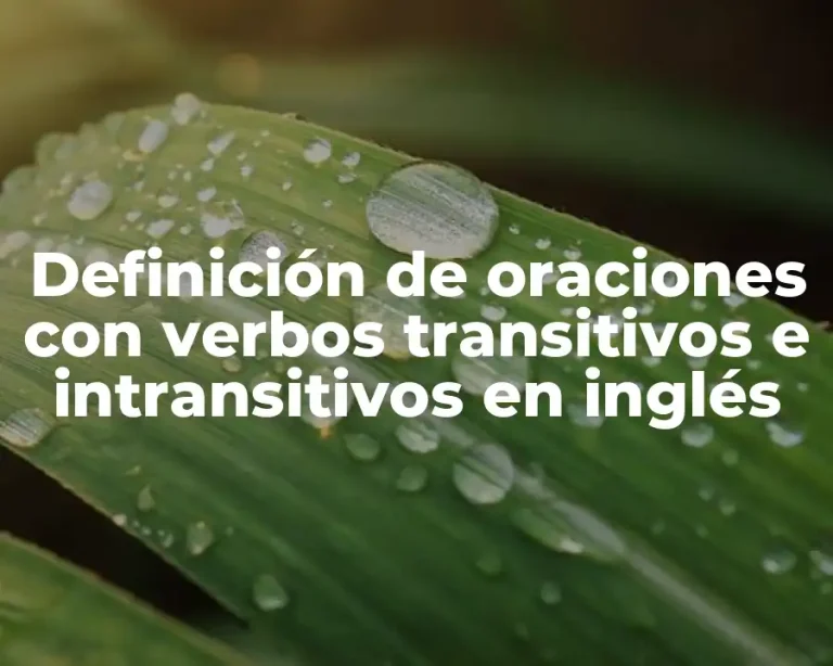 Definición de oraciones con verbos transitivos e intransitivos en inglés