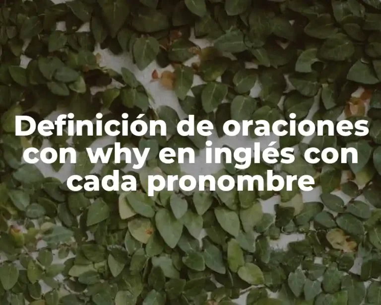Definición de oraciones con why en inglés con cada pronombre