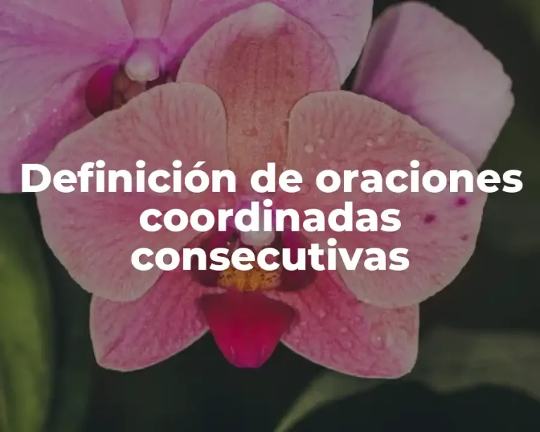 Definición de oraciones coordinadas consecutivas