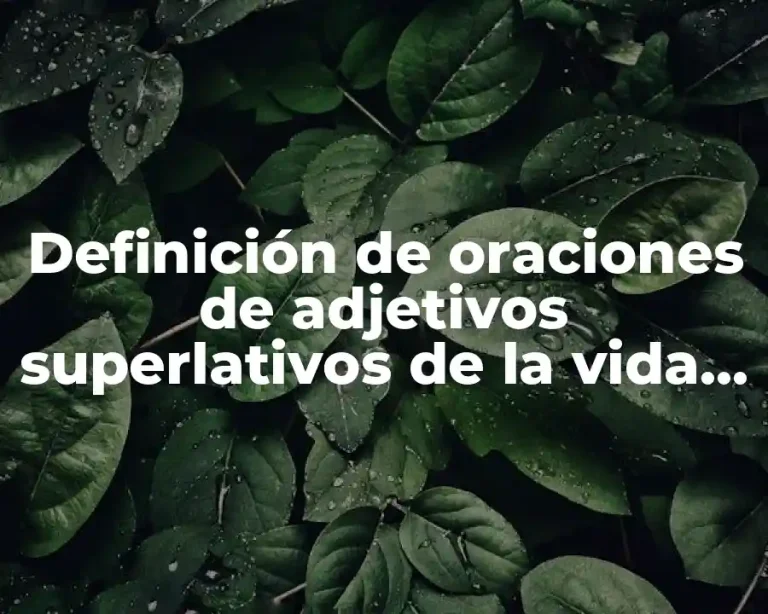 Definición de oraciones de adjetivos superlativos de la vida real
