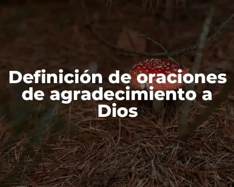 Definición de oraciones de agradecimiento a Dios