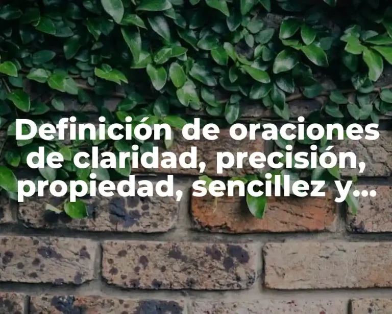 Definición de oraciones de claridad, precisión, propiedad, sencillez y concisión