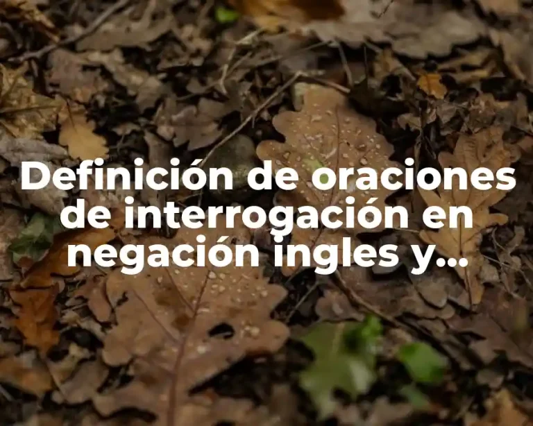 Definición de oraciones de interrogación en negación ingles y español