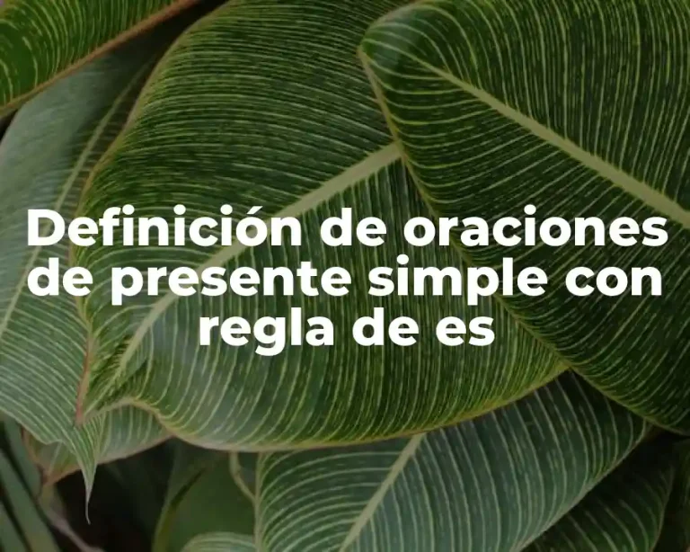 Definición de oraciones de presente simple con regla de es