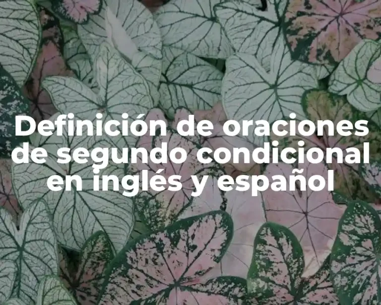 Definición de oraciones de segundo condicional en inglés y español