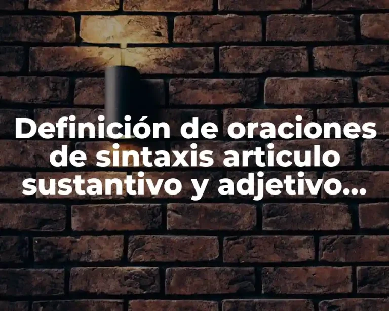 Definición de oraciones de sintaxis articulo sustantivo y adjetivo calificativo
