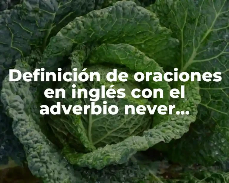 Definición de oraciones en inglés con el adverbio never interrogativos