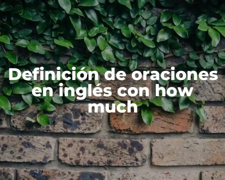 Definición de oraciones en inglés con how much
