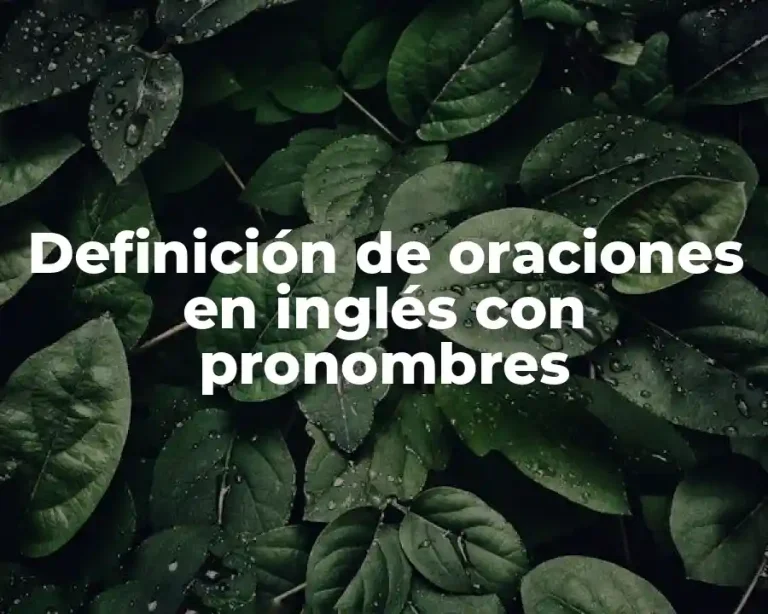 Definición de oraciones en inglés con pronombres