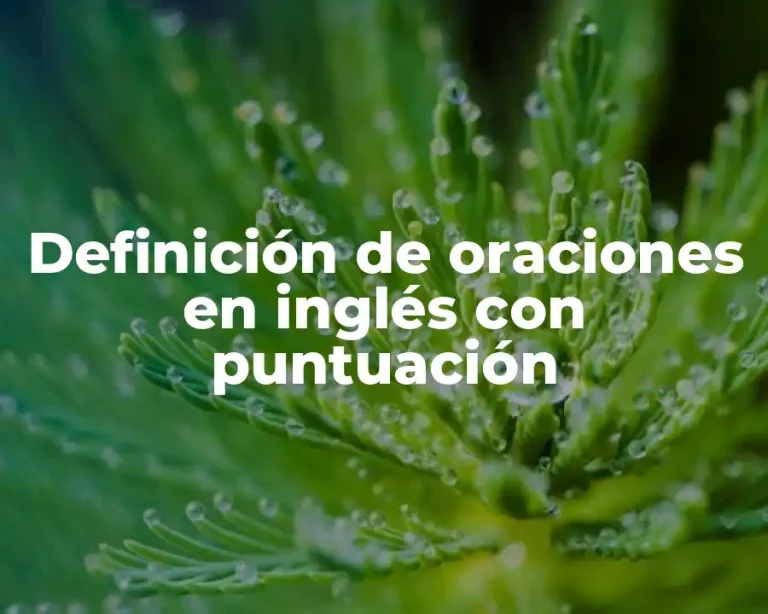 Definición de oraciones en inglés con puntuación