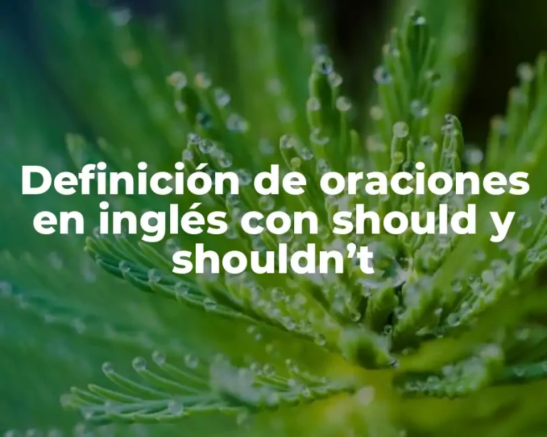 Definición de oraciones en inglés con should y shouldn’t