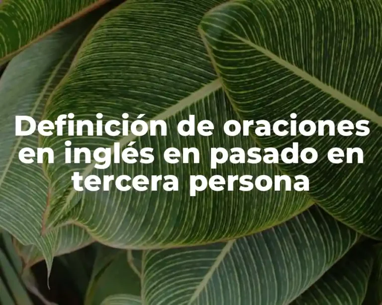 Definición de oraciones en inglés en pasado en tercera persona