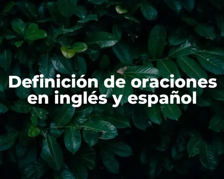Definición de oraciones en inglés y español