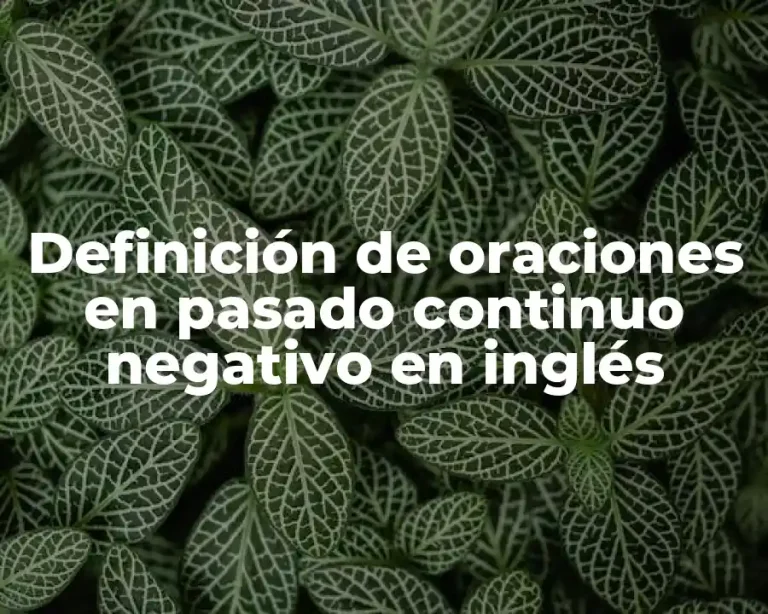 Definición de oraciones en pasado continuo negativo en inglés