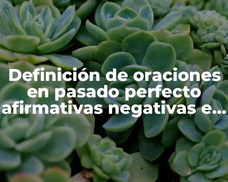Definición de oraciones en pasado perfecto afirmativas negativas e interrogativas