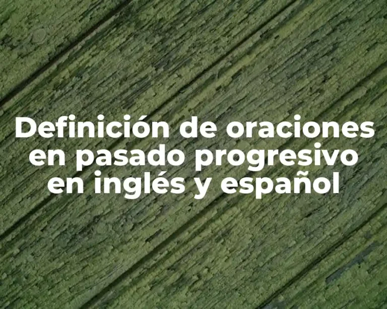 Definición de oraciones en pasado progresivo en inglés y español