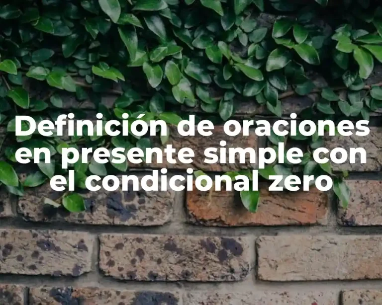 Definición de oraciones en presente simple con el condicional zero